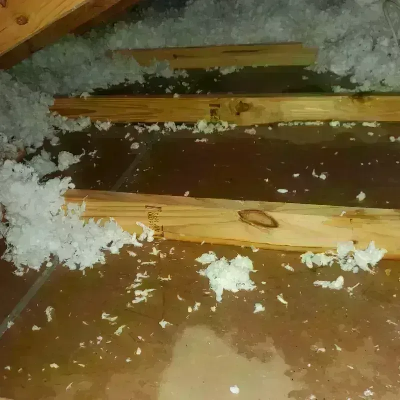 Attic Water Damage in Cave Spring, VA